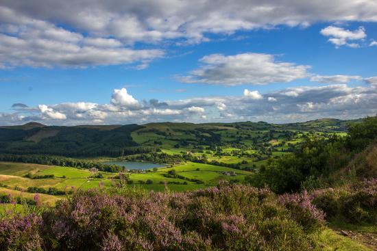 Tegg's Nose Country Park